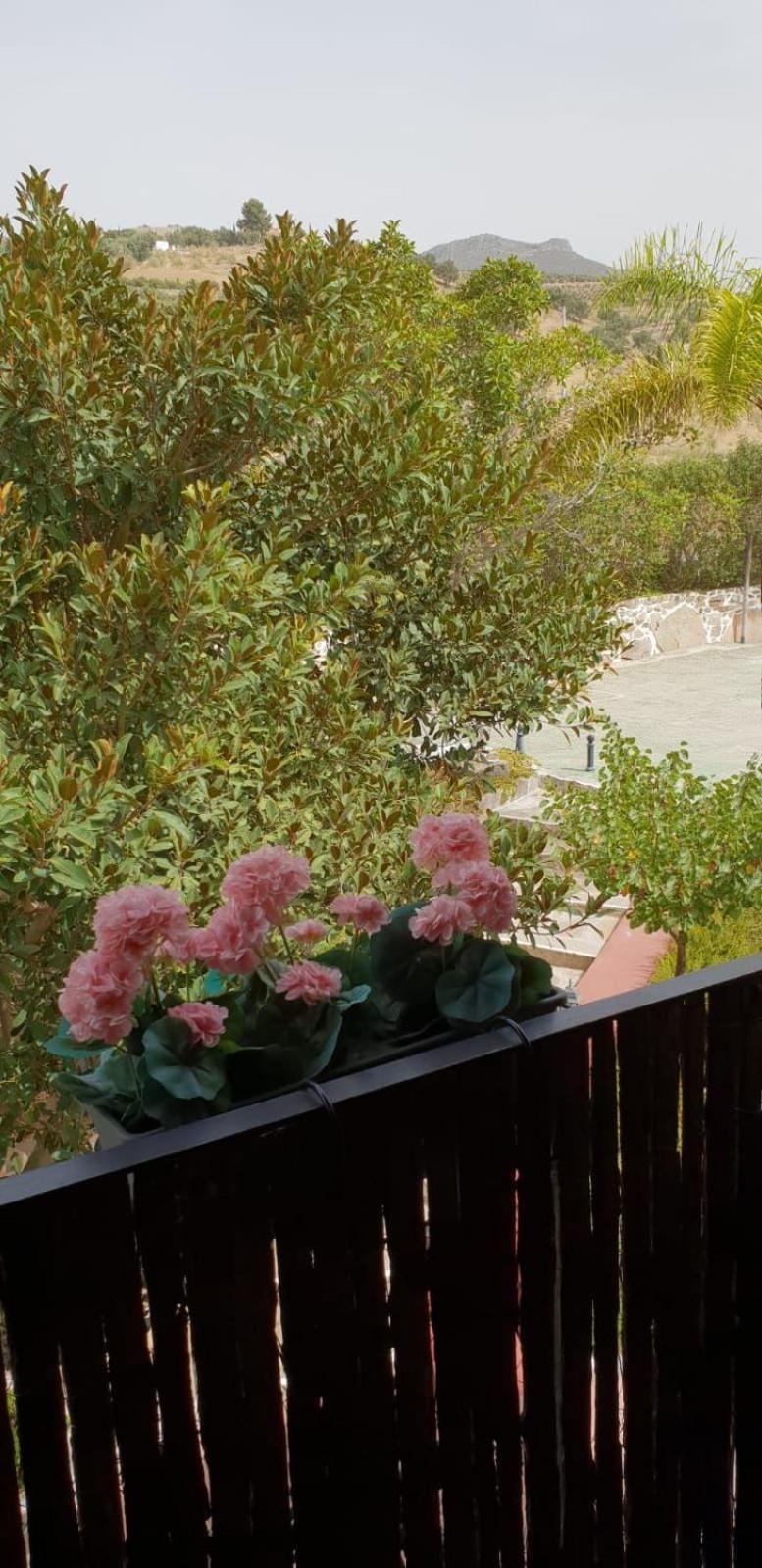 Hotel Cortijo De Salia อัลเกาซิน ห้อง รูปภาพ