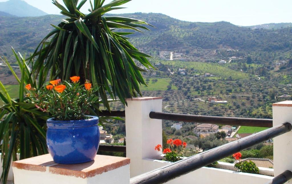 Hotel Cortijo De Salia อัลเกาซิน ภายนอก รูปภาพ